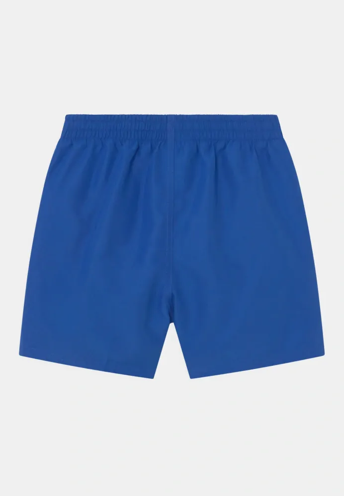 Pánské plavecké šortky Nike Essential 